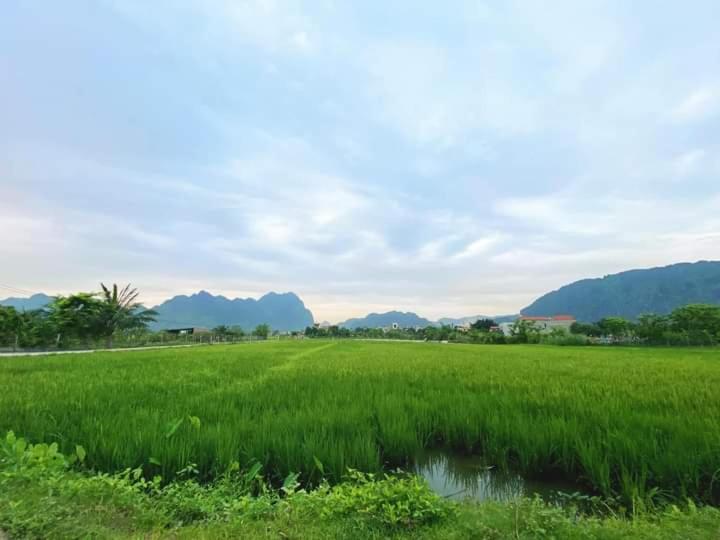 Nha Lua Homestay 宁平 外观 照片