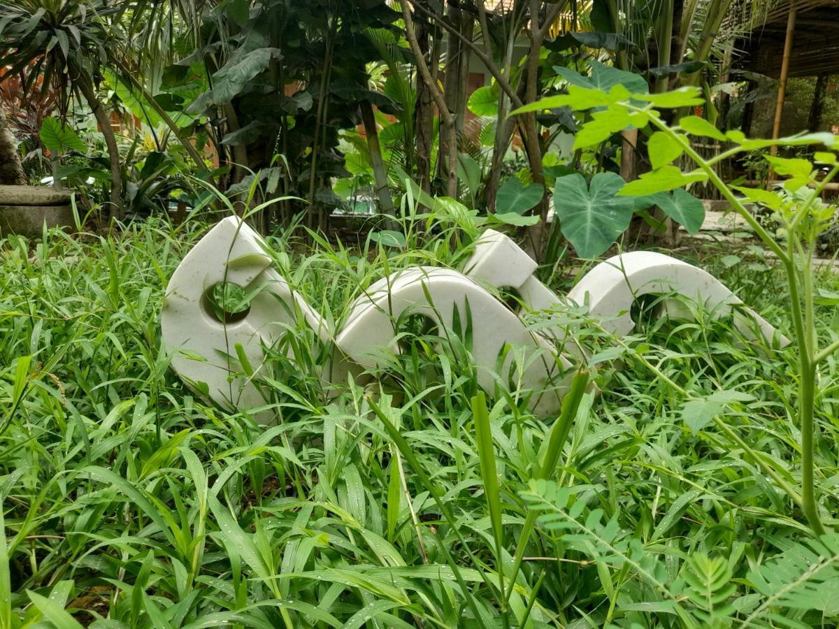 Nha Lua Homestay 宁平 外观 照片