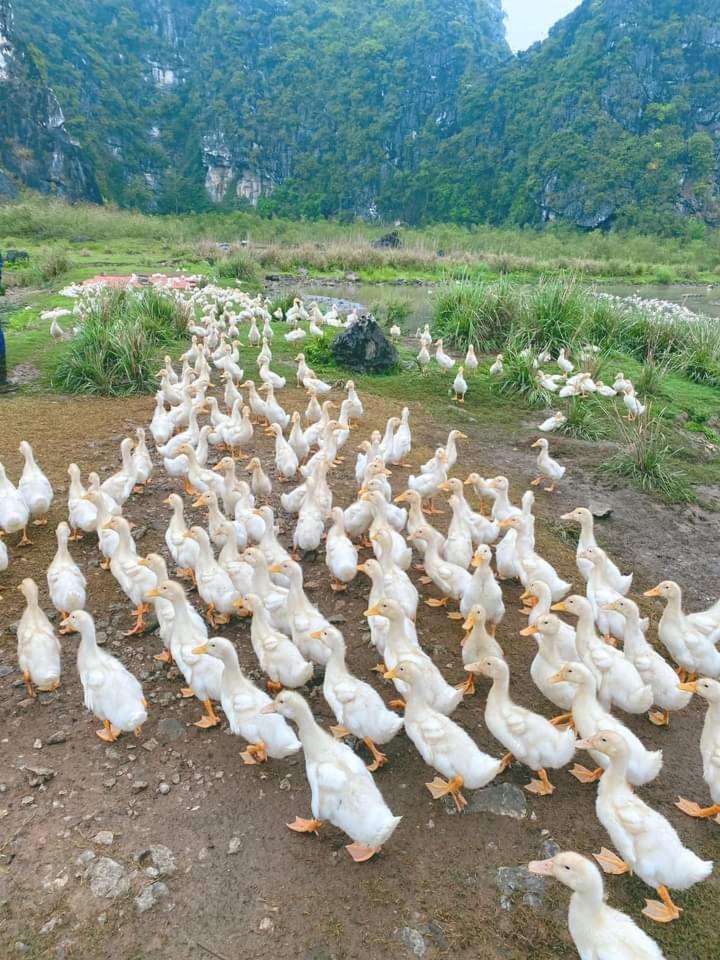 Nha Lua Homestay 宁平 外观 照片