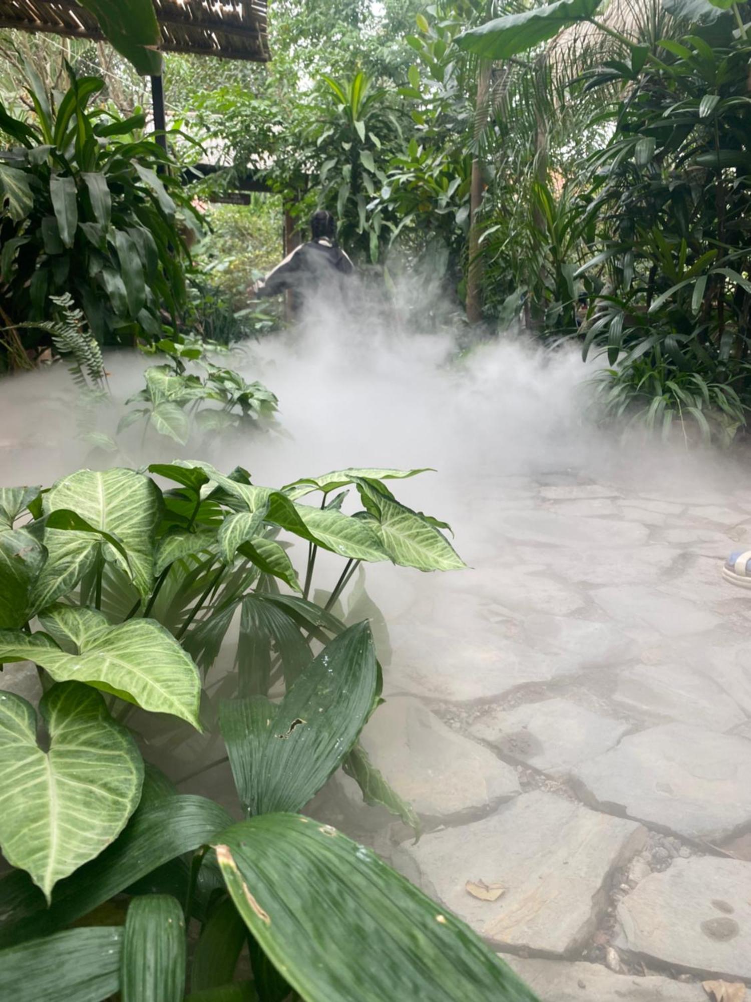 Nha Lua Homestay 宁平 外观 照片