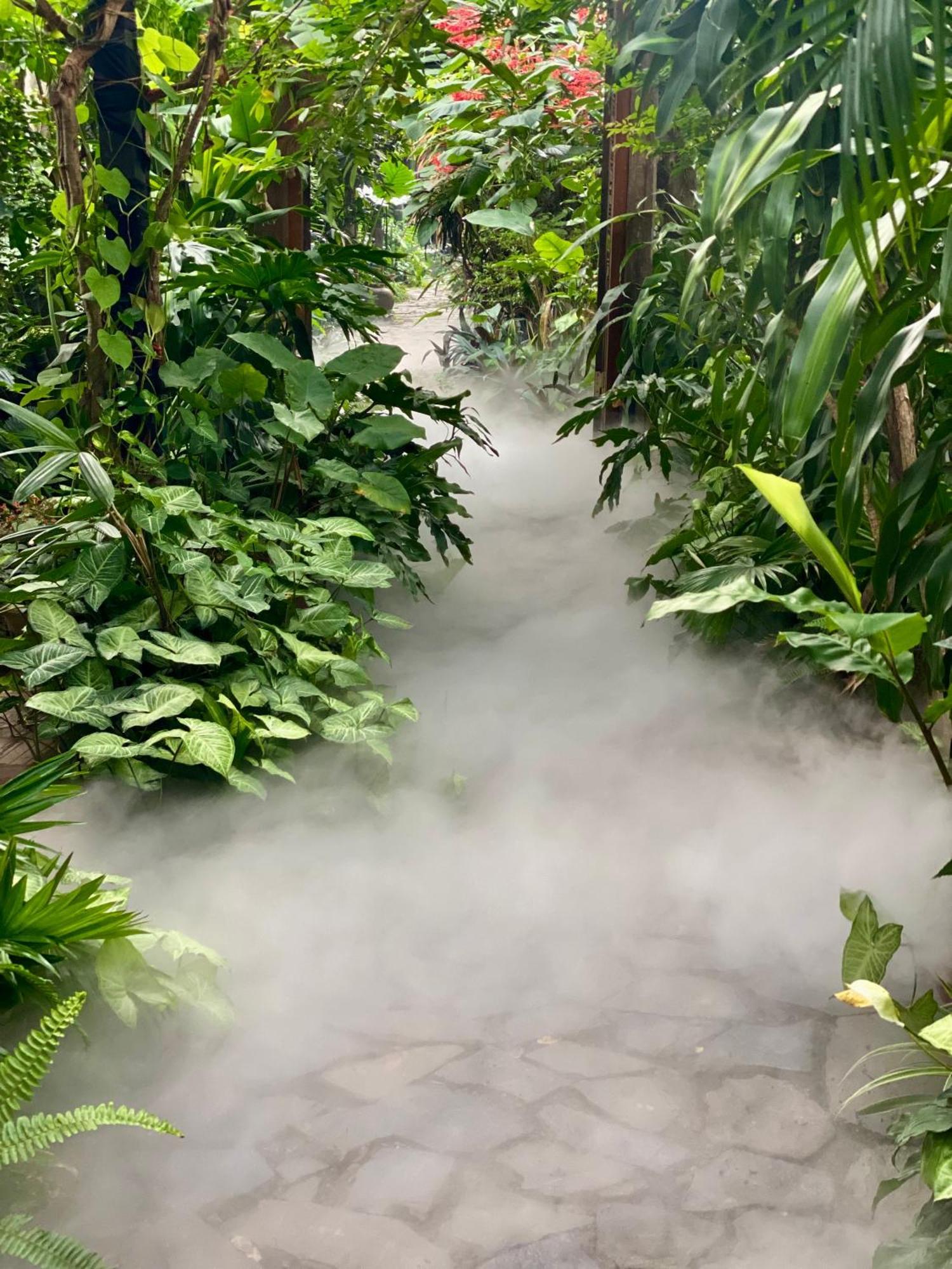Nha Lua Homestay 宁平 外观 照片